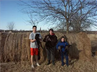 small_sheep 005.webp